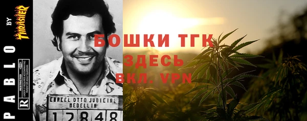 apvp Бердск