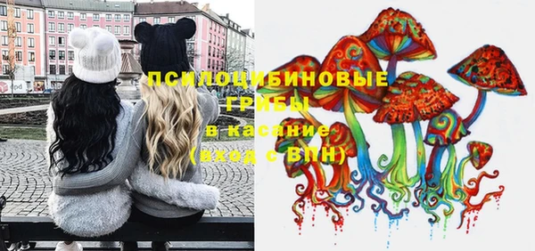 МДПВ Мегион