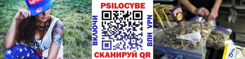 Галлюциногенные грибы Psilocybine cubensis  Пестово 